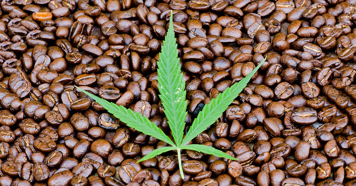 Infusing coffee and cannabis together! | Da RUDE Magazine